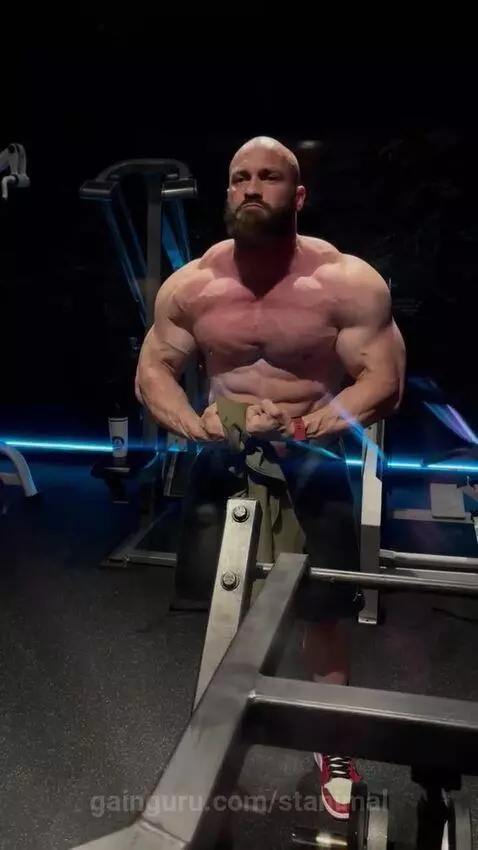 stanimal post preview