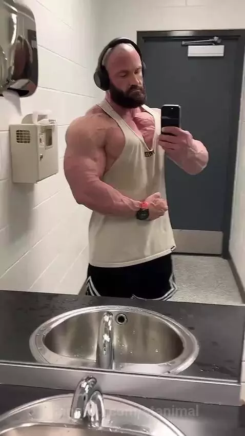 stanimal post preview