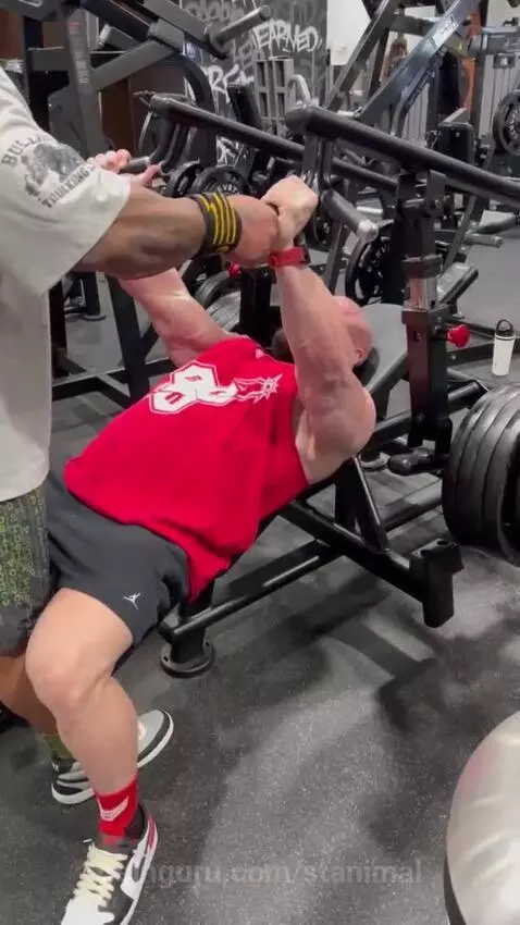 stanimal post preview