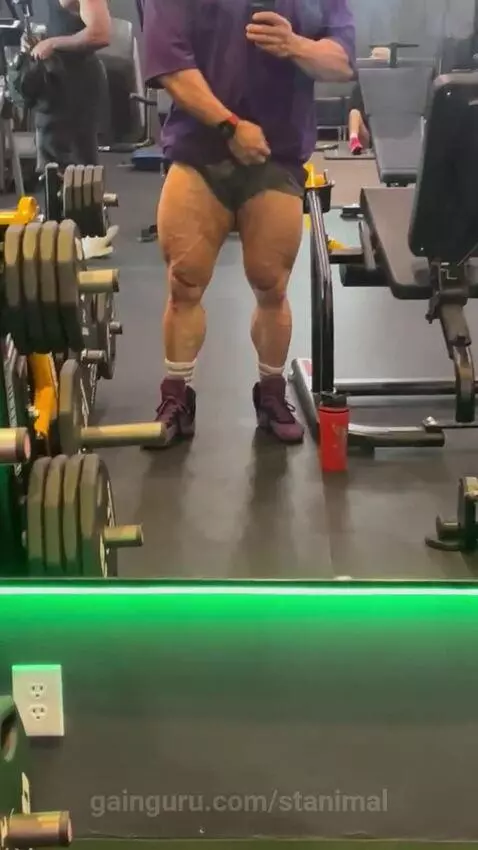 stanimal post preview