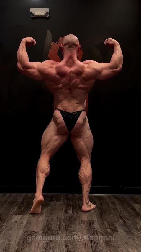 stanimal