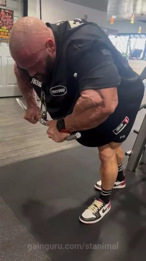 stanimal post preview