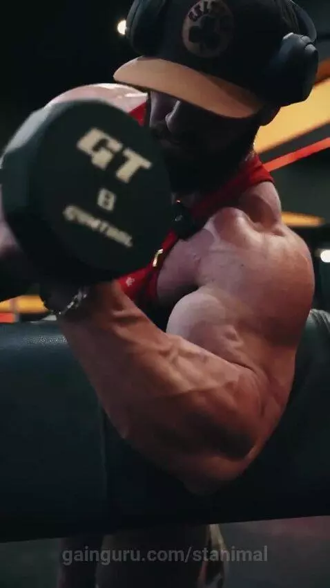 stanimal post preview
