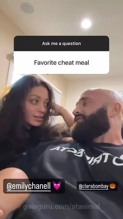stanimal post preview