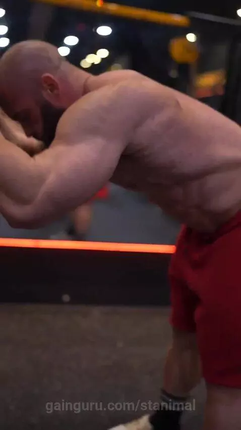 stanimal post preview