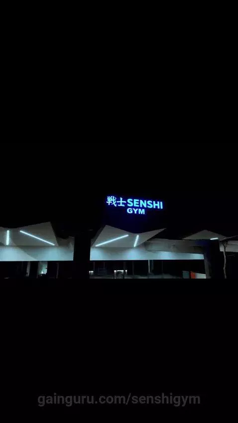 senshigym post preview
