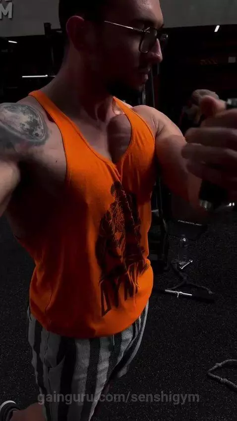 senshigym post preview