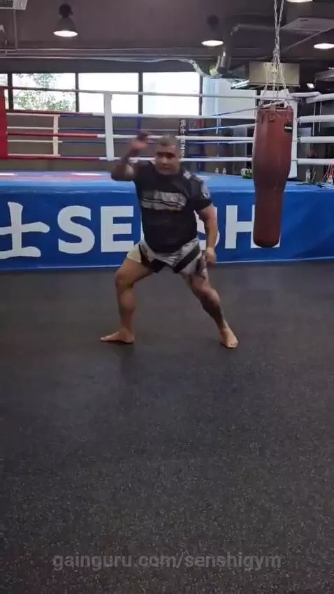 senshigym post preview
