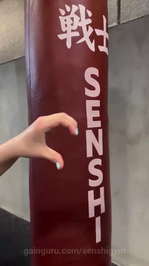 senshigym post preview