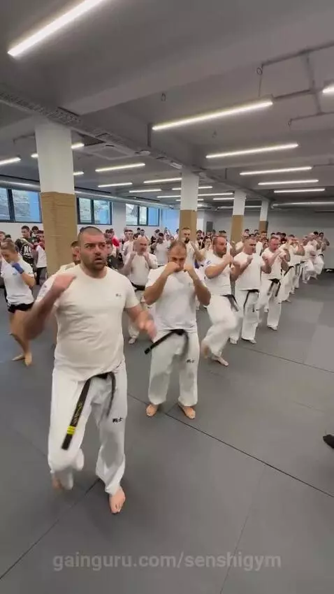 senshigym post preview