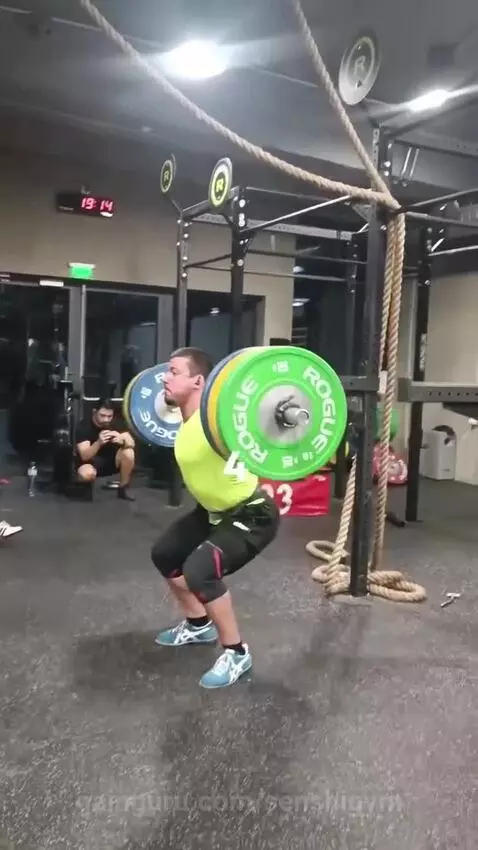 senshigym's post preview (squats)