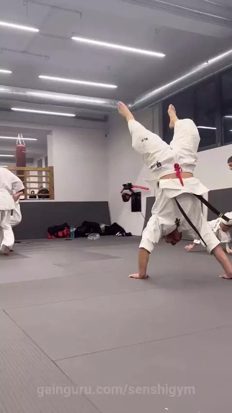 senshigym post preview