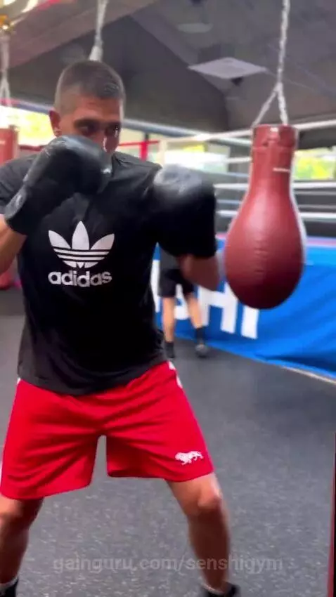 senshigym post preview