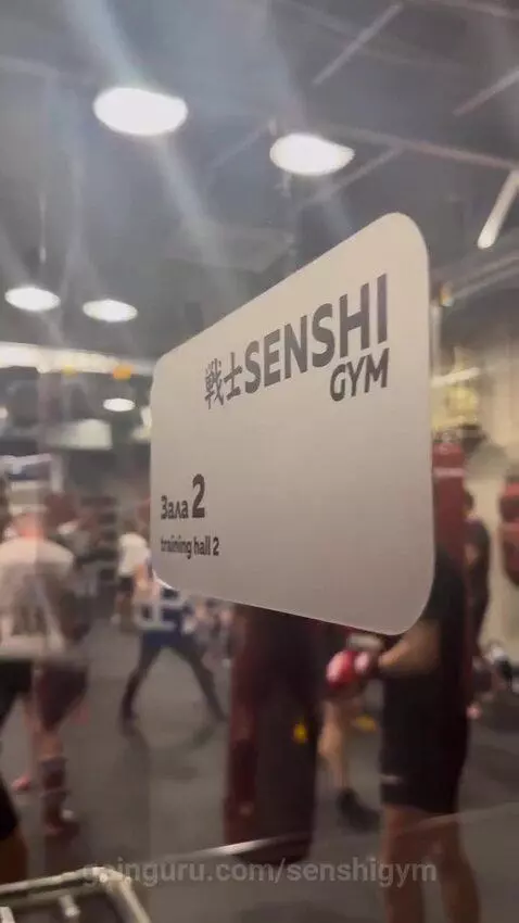 senshigym post preview