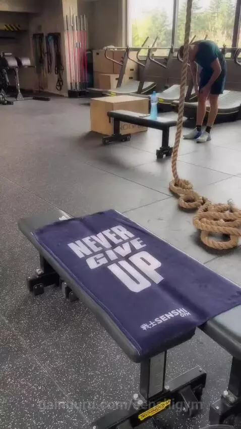 senshigym post preview