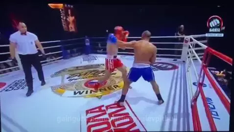 vladimirvalevpitbull post preview