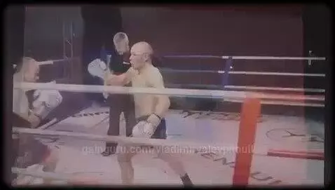vladimirvalevpitbull post preview