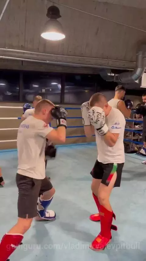 vladimirvalevpitbull post preview