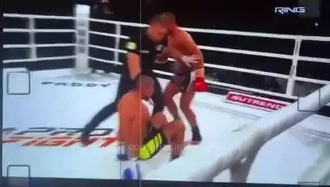 vladimirvalevpitbull post preview